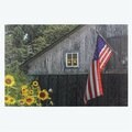 Youngs Canvas Barn Door LED Light Wall Art 21640
